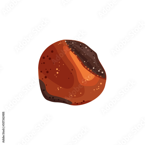 Hazelnut abstract illustration. Useful natural product.