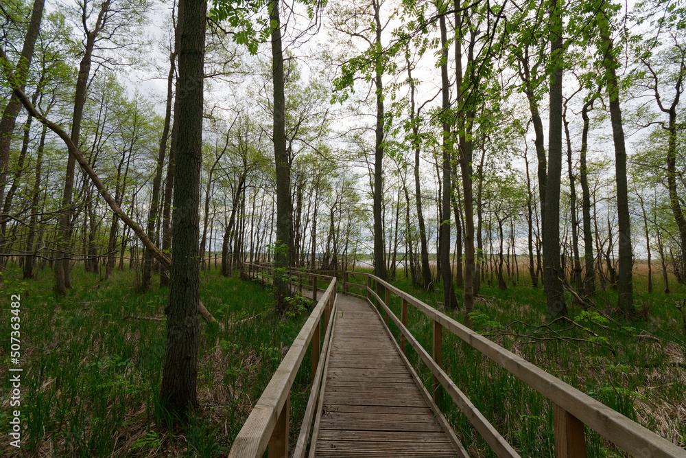 Müritz Nationalpark Müritz Nationalpark