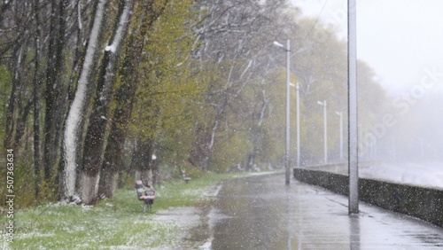fountain in the city