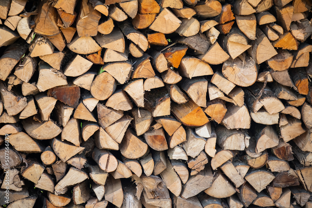 Pile of wood logs storage. Logging for firewood. Pile of wood logs storage. Logging for firewood.