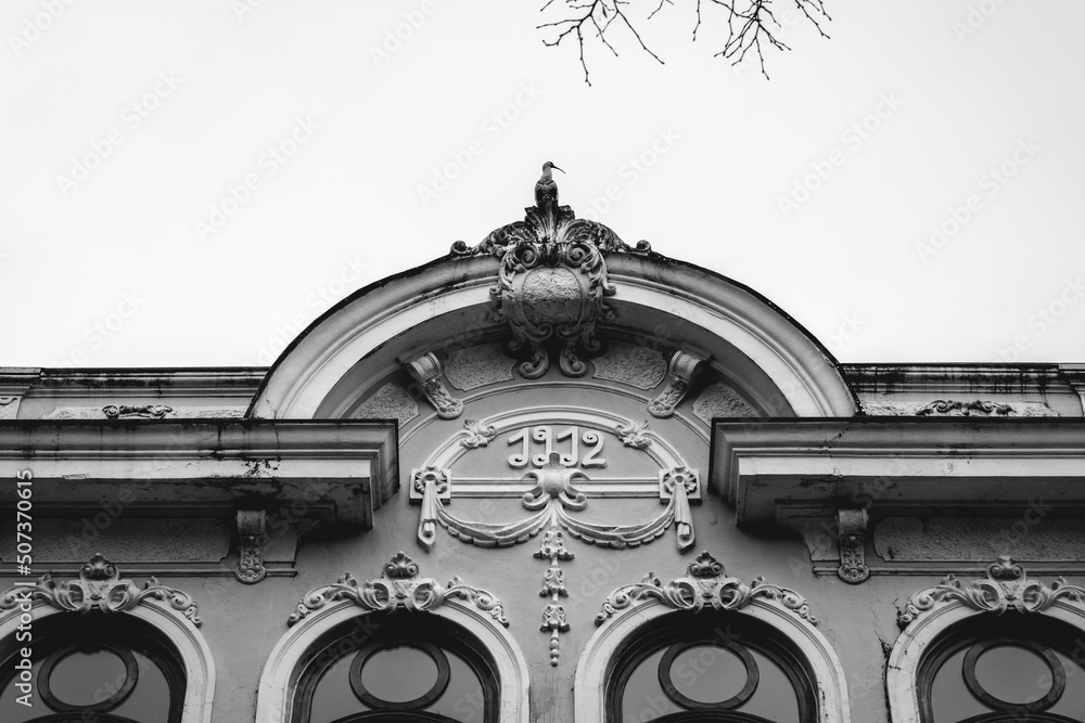 Big bird on top of a beautiful old centuries building with neoclassical architecture, ornaments and decoration in a cloudy day, Valdivia, Chile (in black and white)