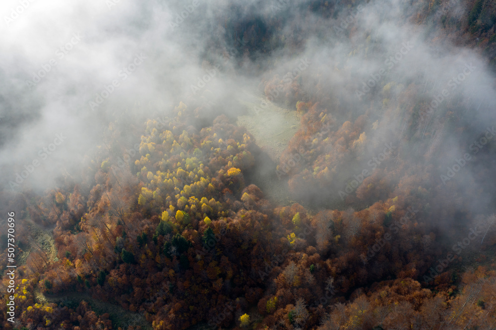 Fall forest in autumn season photographer from a drone in autumn.Forest with colorful leaves on a sunny afternoon. Red and yellow leaves, romantic and beautiful autumn day. Fall forest in autumn season photographer from a drone in autumn.Forest with colorful leaves on a sunny afternoon. Red and yellow leaves, romantic and beautiful autumn day.