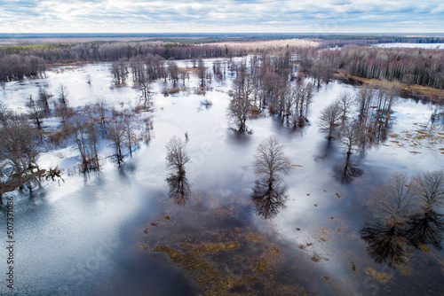 Flooded landscape during so called fifth season in Soomaa National Park, Estonia