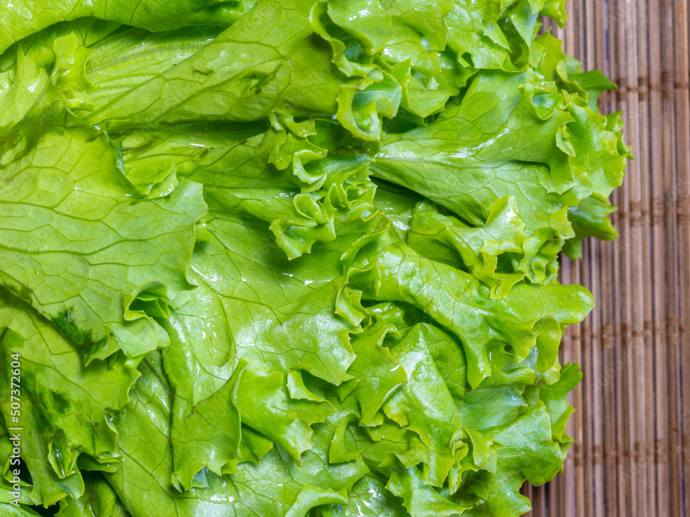 A bunch of lettuce leaves on the wooden table. Cooking dinner. Harvest from the garden. Food in the summer season. Greenery in the kitchen. A bunch of lettuce leaves on the wooden table. Cooking dinner. Harvest from the garden. Food in the summer season. Greenery in the kitchen.
