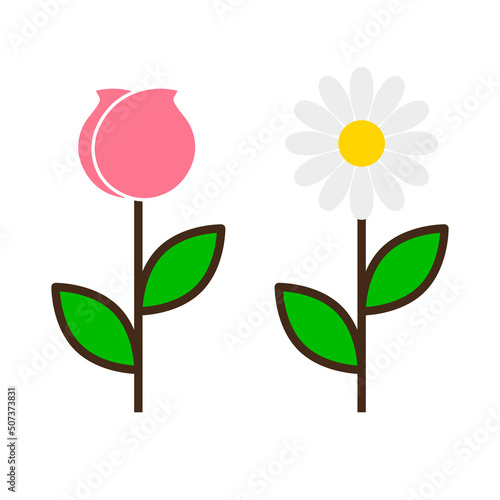 Rose  maybe tulip and chamomile. Flat vector icons isolated on white background.