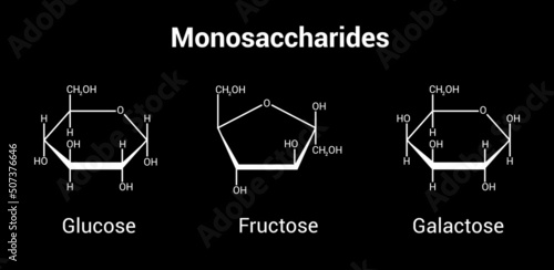 glucose fructose and galactose monosaccharides (simple sugars)