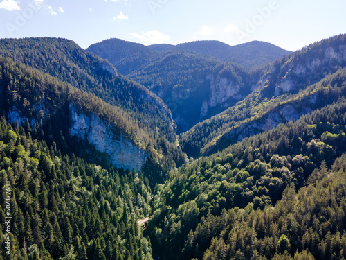 Aerial view of Trigrad Gorge at Rhodope Mountains, Bulgaria photo