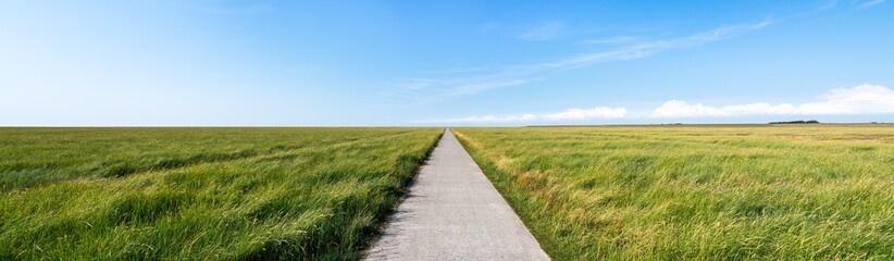 Endless road along green grassland
