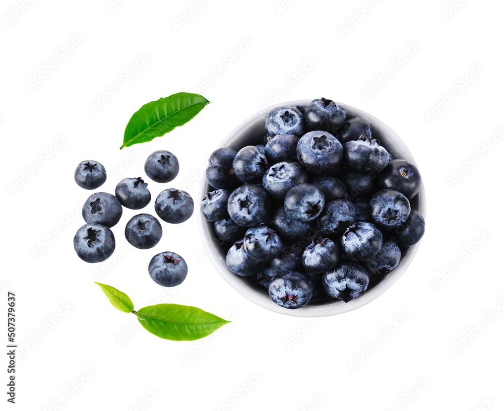 blueberries isolated on a white background blueberries isolated on a white background