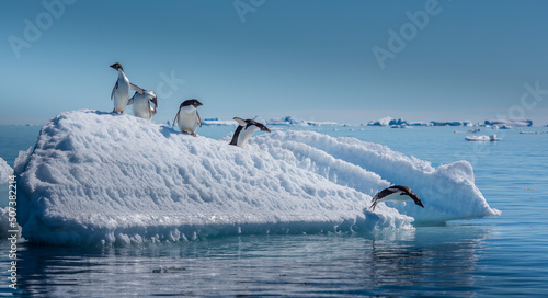 Adelie penguins on small ice berg in Antarctica