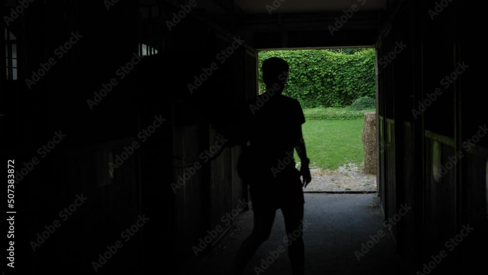 the rider's silhouette leads the horse out of the stable the rider's silhouette leads the horse out of the stable
