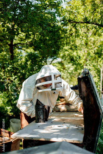 Beekeeper in a protective suit works with honeycombs. A farmer in a bee suit works with honeycombs in an apiary. Beekeeping in the countryside. Organic farming