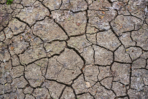 Close-up of dry cracked ground. Dry cracked earth background