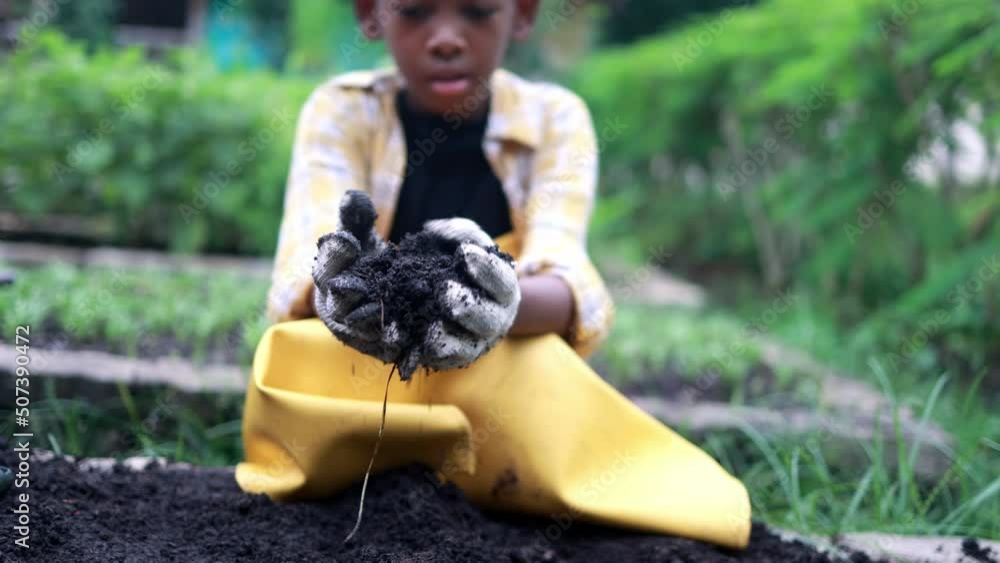 African American boy Scatter the soil into the slow-motion farming plot, concept of agriculture or cultivation works in greenhouses African American boy Scatter the soil into the slow-motion farming plot, concept of agriculture or cultivation works in greenhouses