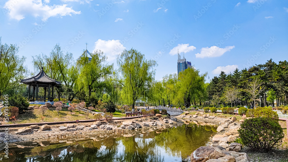 Fototapeta premium Spring scenery of Peony Garden in Changchun, China