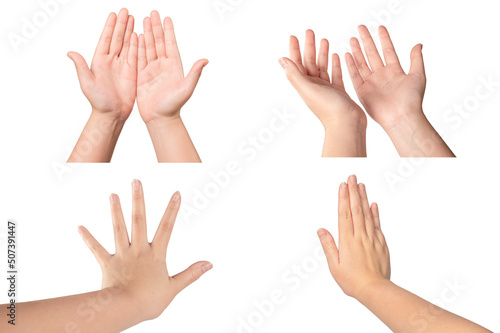 set of hands isolated