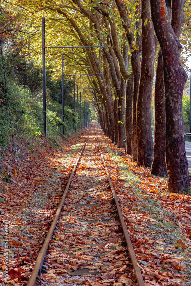 linha de comboio, paisagem, viagem, outono