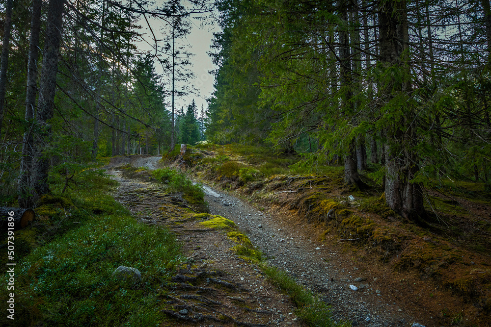 Obraz premium im Kleinwalsertal