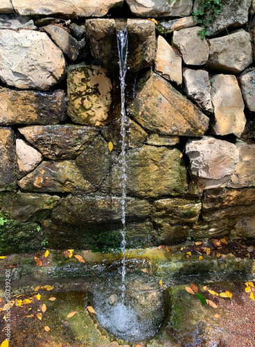 Springs in the El Hemed National Park photo