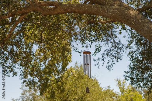Valokuva Bells wind chime on a tree, and clear blue sky on background