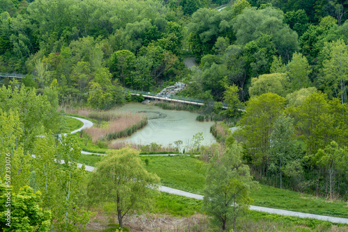 Photography Beautiful Ravines in Toronto