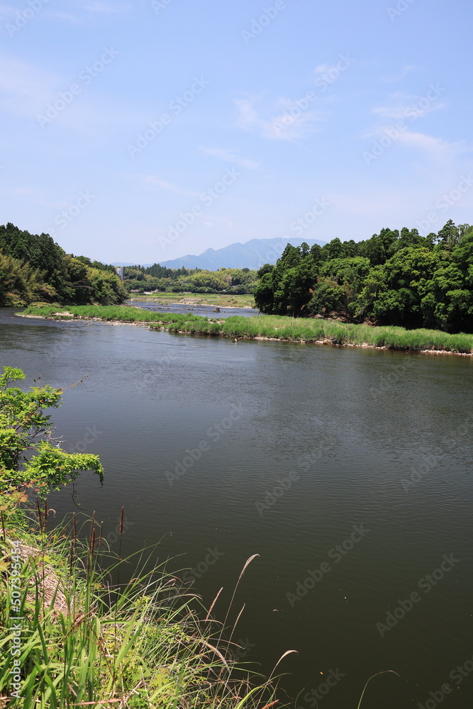 川内川にあるホタルの群生地の景色