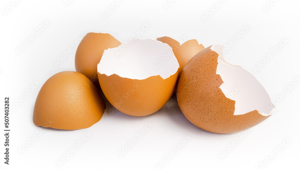Egg shell isolated on white background Egg shell isolated on white background