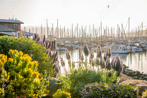 Φωτογραφία Monterey Bay, California