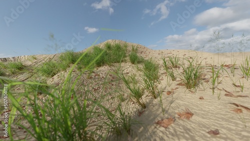 3d render grass on sand seascape nature scene wallpaper backgrounds