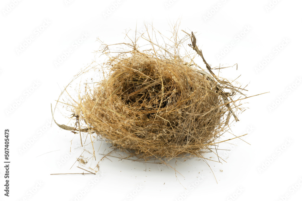 Obraz premium Wren's nest on White Background.