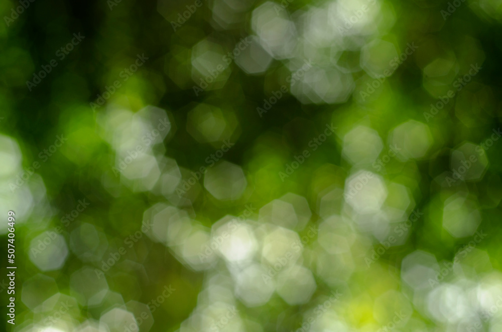 Bokeh background from light shining through leaves out of focus. Bokeh background from light shining through leaves out of focus.