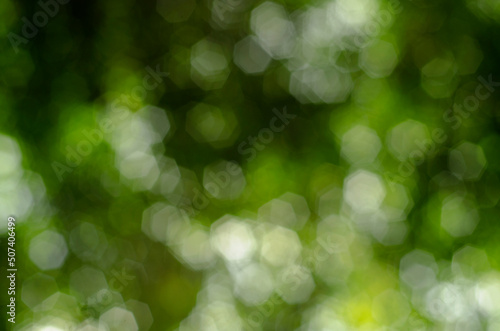 Bokeh background from light shining through leaves out of focus.
