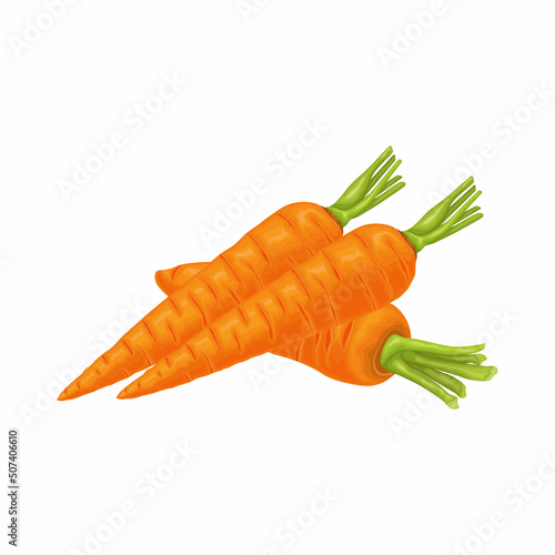 Carrot. Image of a ripe carrot. Vitamin vegetable. Organic food. Orange carrots. Vector illustration isolated on a white background