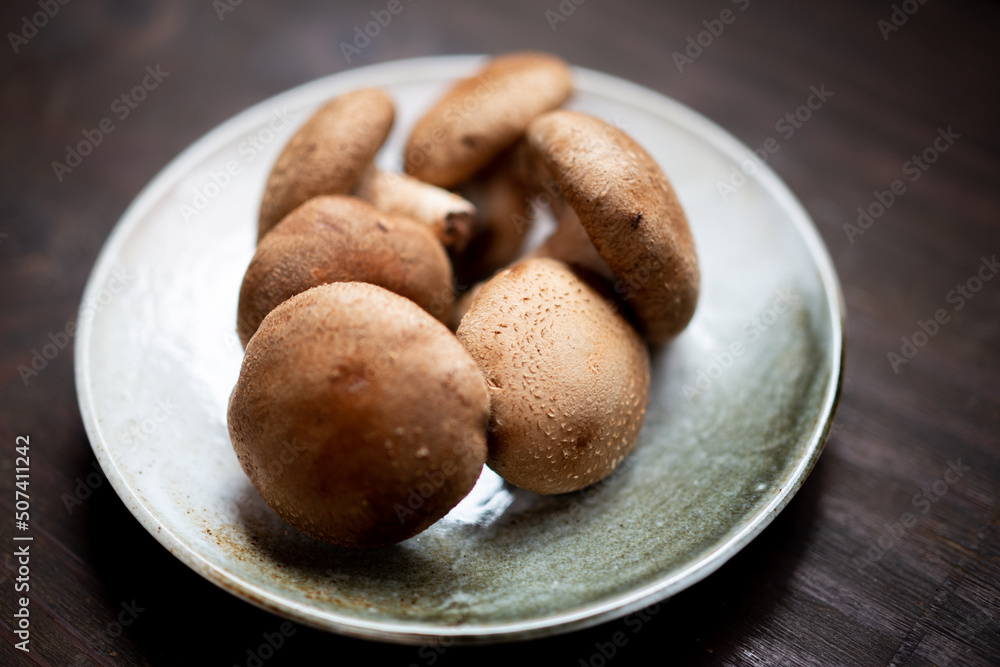 椎茸 椎茸