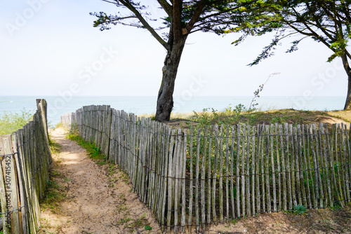 wooden path coast access with sand beach entrance to ocean atlantic sea in isle oleron island france photo