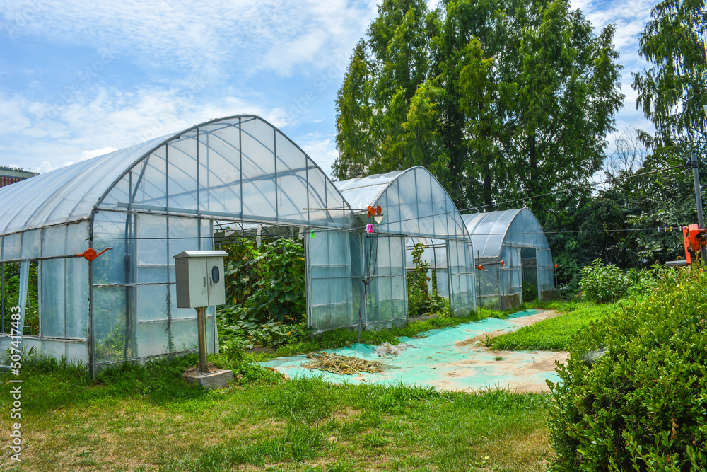 Greenhouse on green grass in rural area with fresh air Greenhouse on green grass in rural area with fresh air