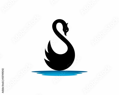 Black swan on water vector