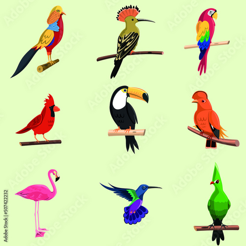 Exotic birds flat vector icon color collection