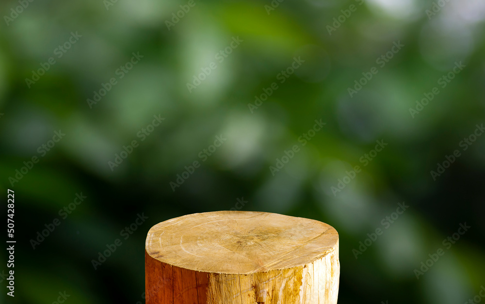 Round wooden saw cut cylinder shape for product display with green bokeh abstract background Round wooden saw cut cylinder shape for product display with green bokeh abstract background