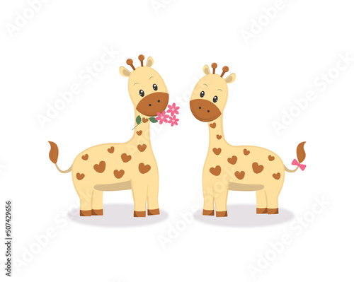 Canvas Print Pair of giraffes.