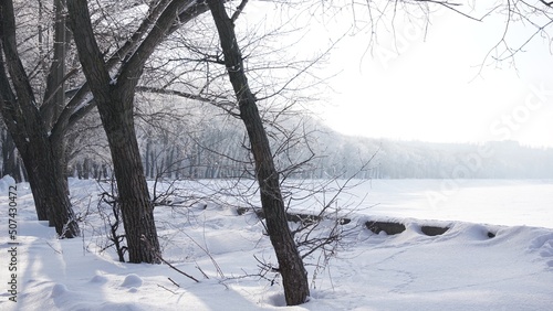snow covered trees © Анатолий Воропаев