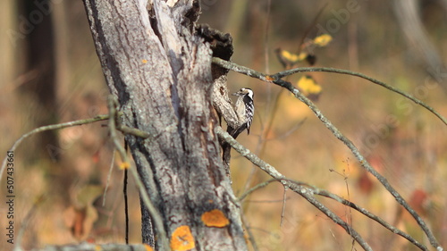 barbed wire on a fence