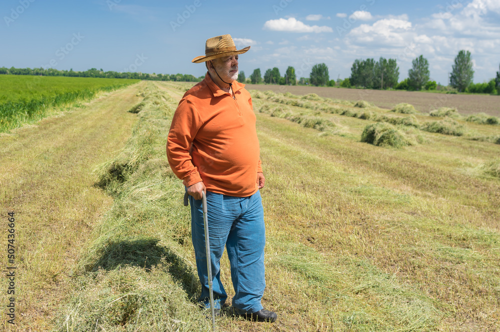 Full body portrait of bearded Caucasian senior farmer standing agricultural field in central Ukraine and looking forward Full body portrait of bearded Caucasian senior farmer standing agricultural field in central Ukraine and looking forward