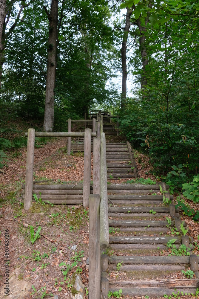 FU 2020-07-25 Belgien hin 413 Im Wald sind Treppenstufen aus Holz