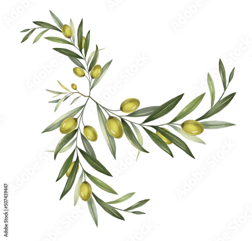 Olive branch with olive fruits isolated on white. Watercolor. © Katerina