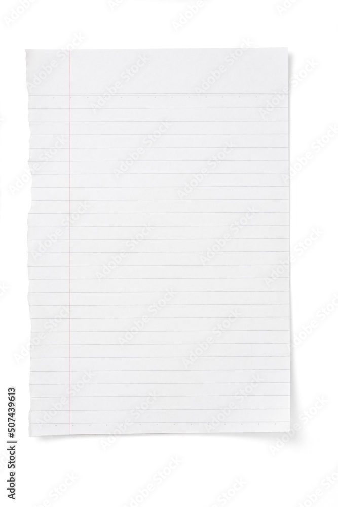 Ripped piece of paper isolated on white Ripped piece of paper isolated on white