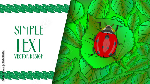 Summer banner vector template ladybug green leaves simple text