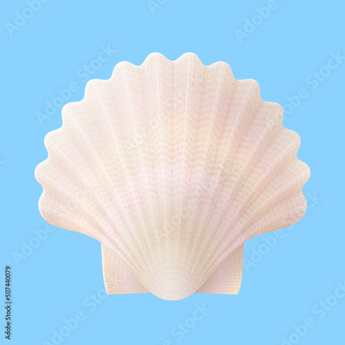 Seashell isolated on blue background. Nacreous scallops shell, top view. Vector illustration for travel concept, seafood, southern nature, seaside resort, beach, etc