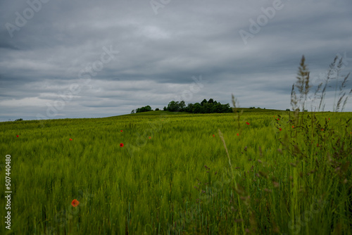 Feld mit dunklen Wolken