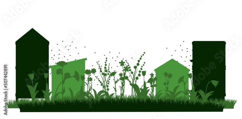 Apiary. Bee hives in meadow. Rural farm landscape. Isolated on white background. Vector